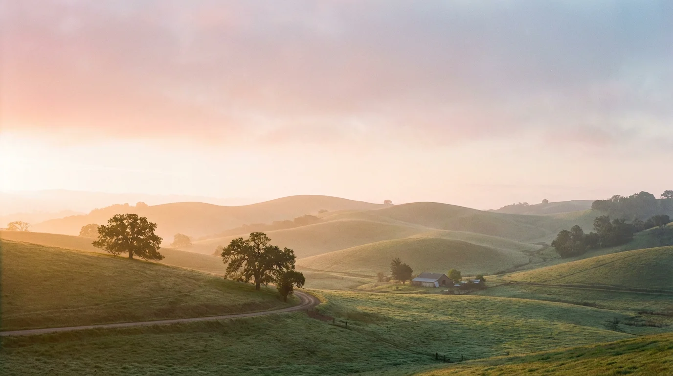 Soft dawn light over gentle hills, suggesting quiet hope.